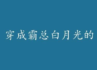 ���ɰ��ܰ��¹������ by ҷ��