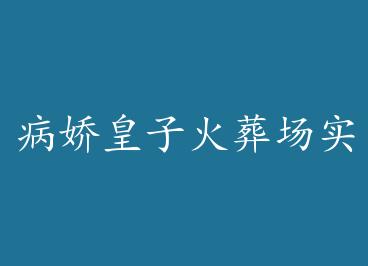 �������ӻ��᳡ʵ¼ by �ٳ�һС��