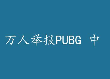 ���˾ٱ�PUBG �� by �������