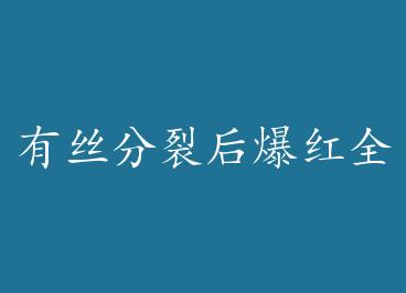 ��˿���Ѻ󱬺�ȫ�Ǽʣ���Խ�� by ������