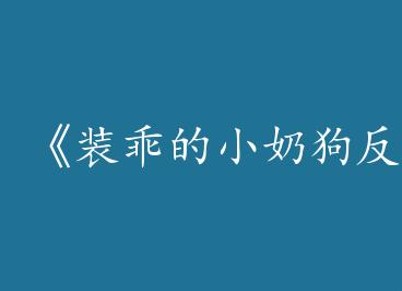 ��װ�Ե�СNai�������ˡ�by ��������