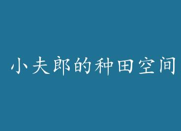 С���ɵ�����ռ䣨��Խ���� by ��������