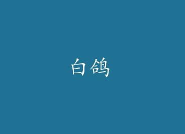 �׸� by Ľʮ��