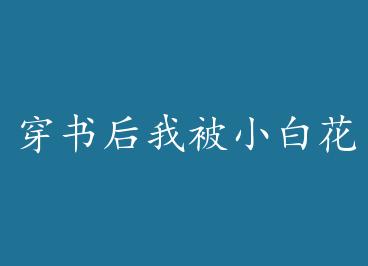 ������ұ�С�׻��ܲ����� by ��Ϊ����