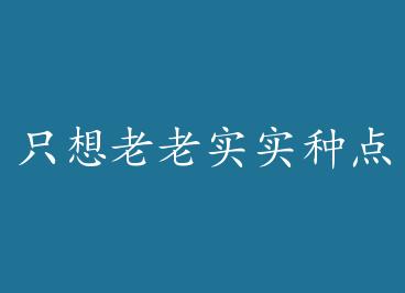 ֻ������ʵʵ�ֵ��� by ·�ɰ��� r0u