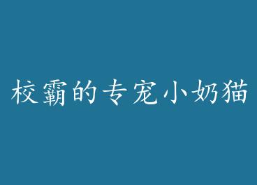 У�Ե�ר��С��è �� by С¹���