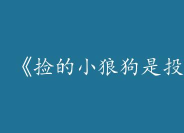 �����С�ǹ���Ͷ�ʴ��С�by �����