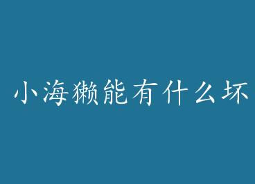 С��̡����ʲô������ by ����©©