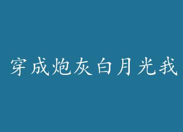 �����ڻҰ��¹��ұ����� by ��ͩ�ۣ��ϣ�