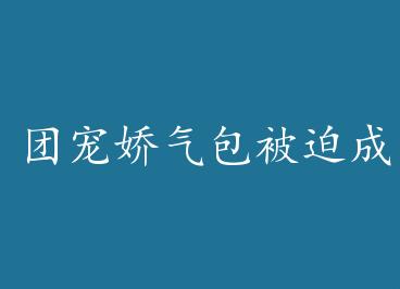 �ų轿�������ȳ��˾���������Խ�� by ���·ɻ�