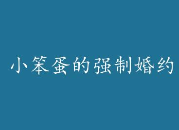 С������ǿ�ƻ�Լ by �Ŵ�