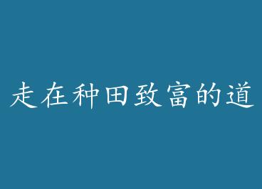 ���������¸��ĵ���+���� by �һ�̶ˮ