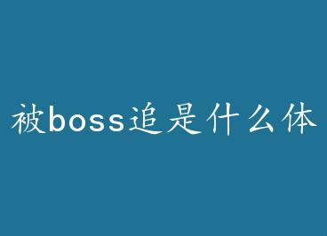 ��boss׷��ʲô���� by ��ϺϺ(��)