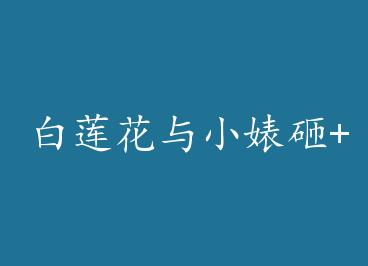 ��������С bia����+���� by ��ɳ©