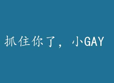 ץס���ˣ�СGAY by ������