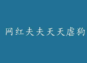 ����������Ű��+���� by Ҧ����