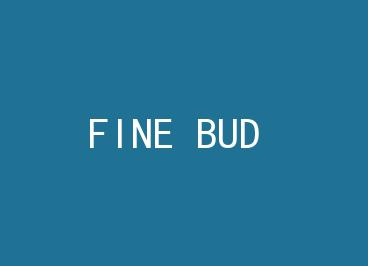 FINE BUD by ����