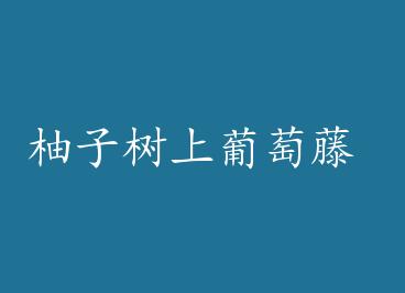 �������������� by ��������