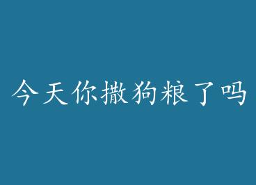 ����������������+���� by һ���Դ�