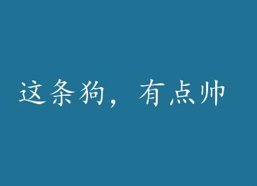 ���������е�˧ by ��ϲ��