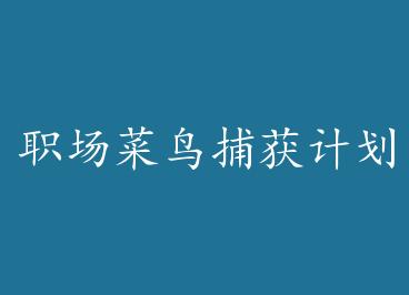 ְ�����񲶻�ƻ� by С��