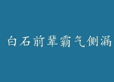 ��ʯǰ��������© by ��������