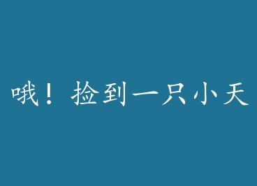 Ŷ����һֻС��ʹ by ��С��