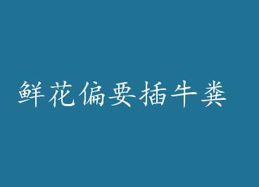 �ʻ�ƫҪ ch��ţ�� by ����ˮ