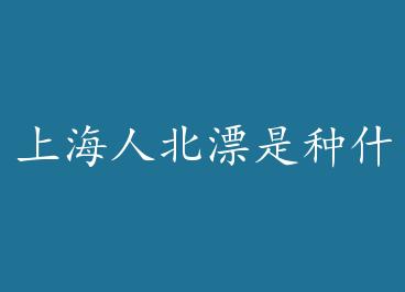 �Ϻ��˱�Ư����ʲô�������飿 by ˮ��