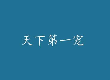 ���µ�һ�� by ����