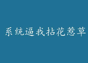 ϵͳ�����黨�ǲ�+���� by ����Ҫ�Բݣ��ϣ�