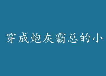 �����ڻҰ��ܵ�С�׻�[����Ȧ]+���� by ��Yu