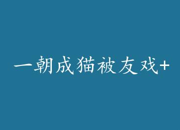 һ����è����Ϸ+���� by ��ɣ