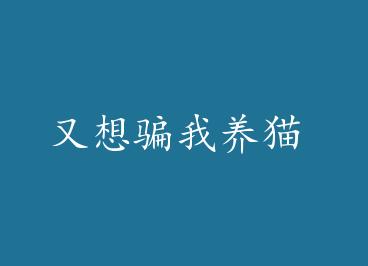 ����ƭ����è by �������£�