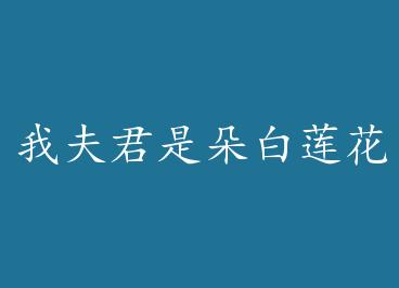 �ҷ���Ƕ������+���� by �����е�