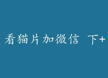 ��èƬ��΢�� ��+���� by ë�Ǻó�