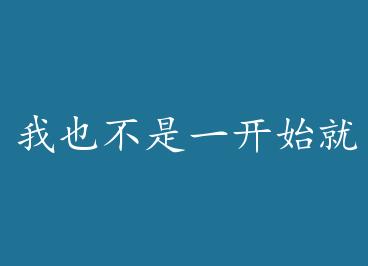 ��Ҳ����һ��ʼ����ôװ�Ƶ�+���� by ���������£�