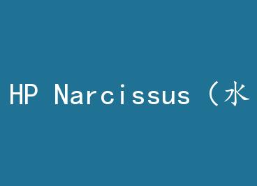 HP Narcissus��ˮ�ɻ���+���� by ��С��