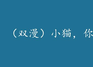 ��˫����Сè������ܣ���+���� by ����ҹ��