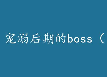 ������ڵ�boss��gl�� by ʮ������