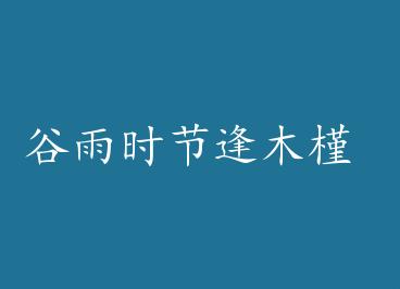 ����ʱ�ڷ�ľ�� by ������