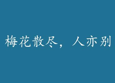 ÷��ɢ���������+���� by ���з���