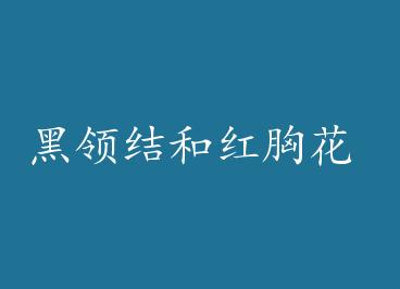 �����ͺ��ػ� ��+���� by kenken030